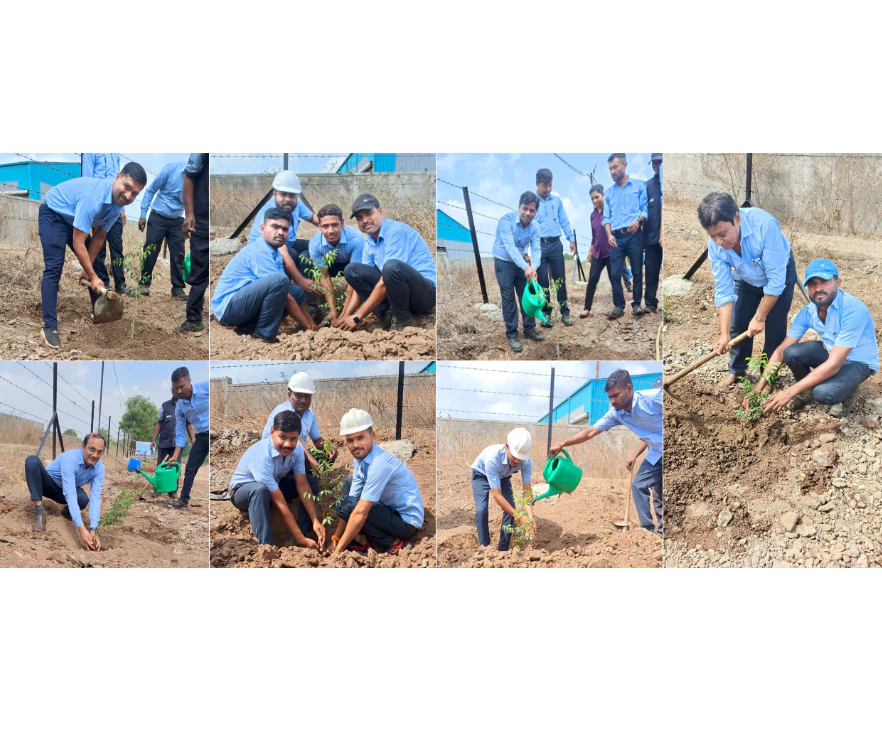 Tree Plantation 2