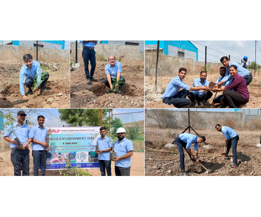 Tree Plantation 3